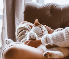 Gato durmiendo en los brazos de su dueña