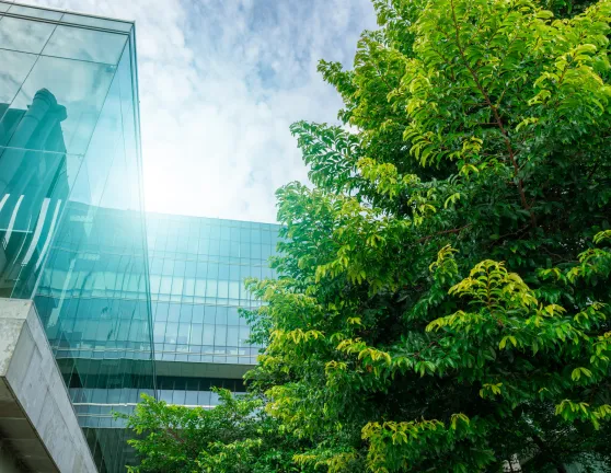 Empresa sostenible con árbol y sol
