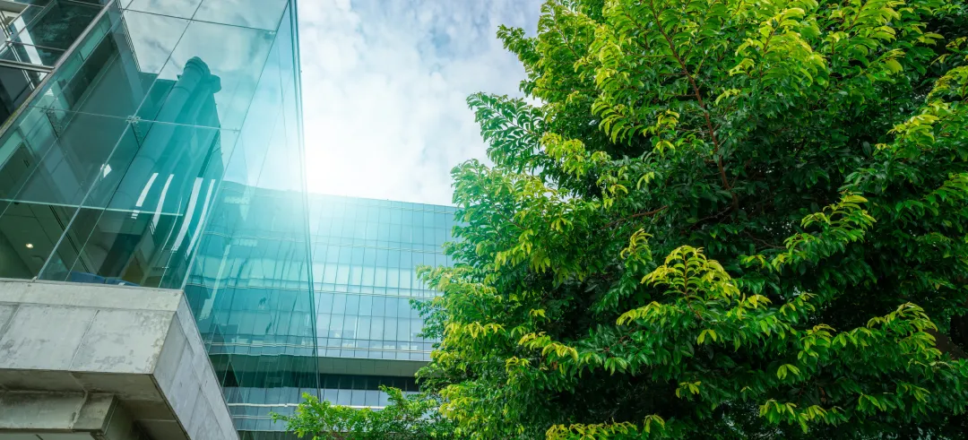 Empresa sostenible con árbol y sol